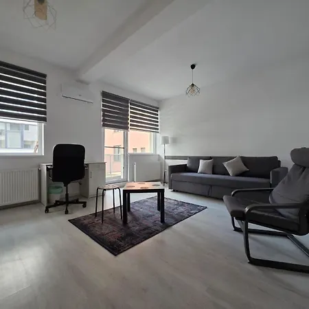 Lovely 1 Bedroom Flat With Free Parking Safirului Street Apartment
